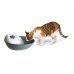Fontanella Automatica per Cani e Gatti - Fontana da 1,7 Lt