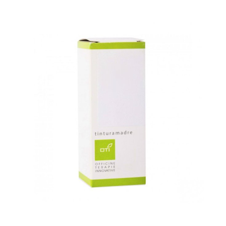 Astragalus Membranaceus TM OTI 100ml