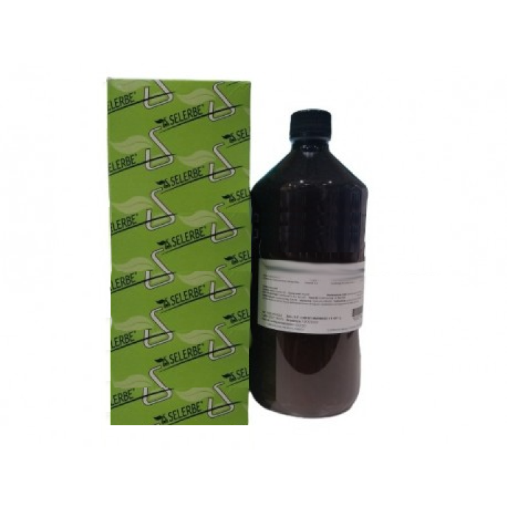 Timo Vulgaris E.F. Selerbe 1L