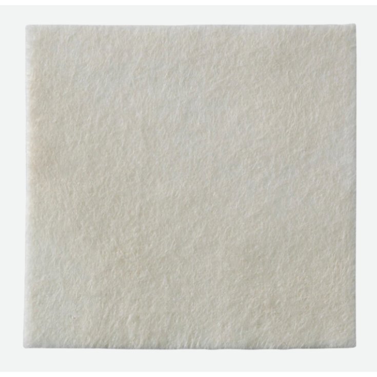 Biatain&reg; Alginate Ag&nbsp;15x15cm Coloplast&reg; 10 Pezzi 3765