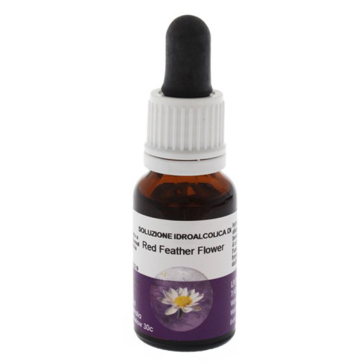Red Feather Flower Essenza Singola Australiana Living Essences 15ml