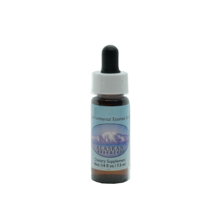Dandelion Essenza Singola Alaskan Essences 7,4ml