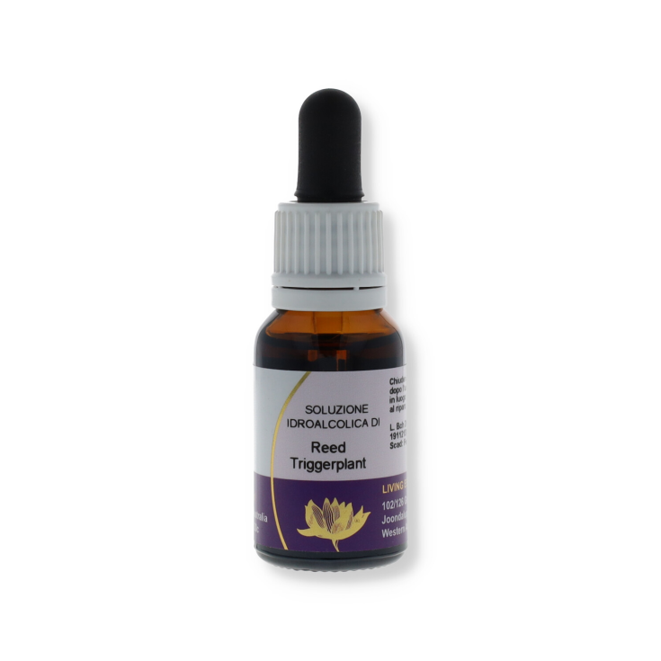 Reed Triggerplant Essenza Singola Australian&nbsp;Living Essences 15ml