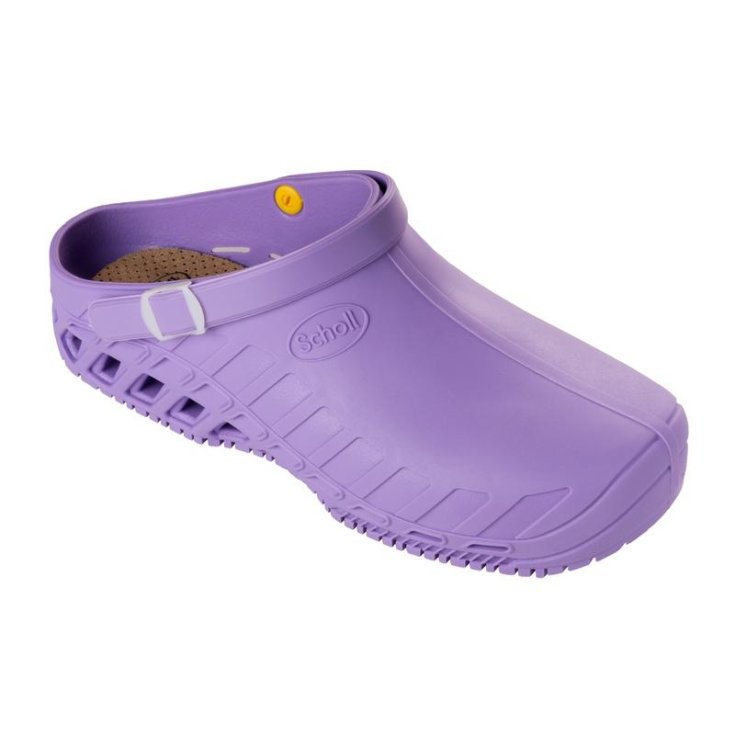 Clog Evo&nbsp;Unisex Scholl Lilla 38-39