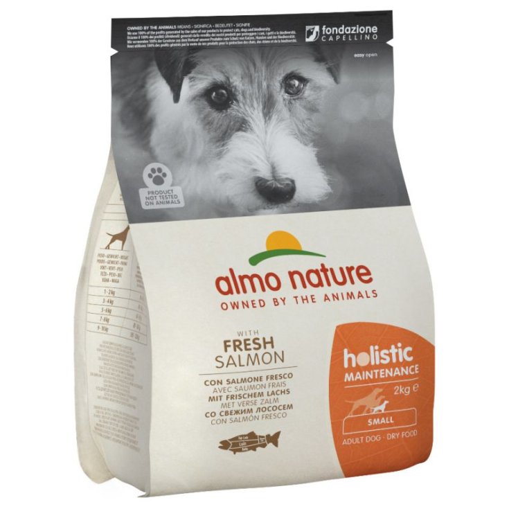 Holistic Fresh Small Salmone e Riso - 400GR