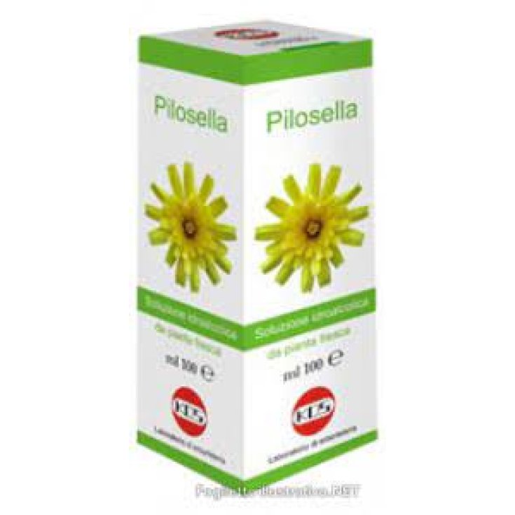 Pilosella S.I. KOS 100ml