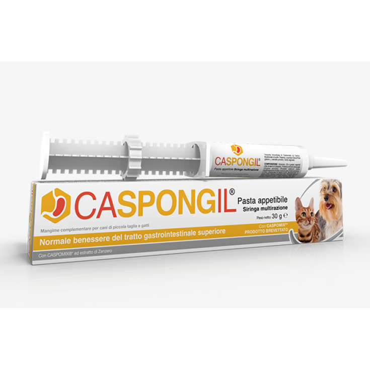 Caspongil&reg; Pasta Shedir pharma&reg;&nbsp;30g