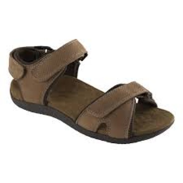 BARWON UOMO MARRONE N40 Dr.Scholl's&reg;