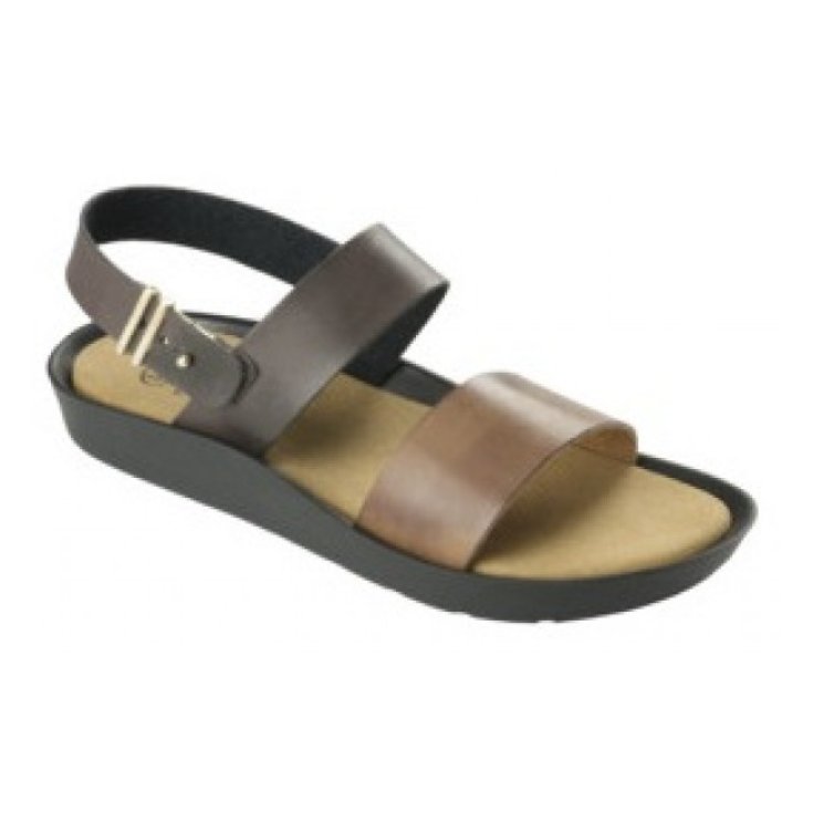 MAMORE SANDALO DONNA BRW/BRW N39 Dr.Scholl's&reg;