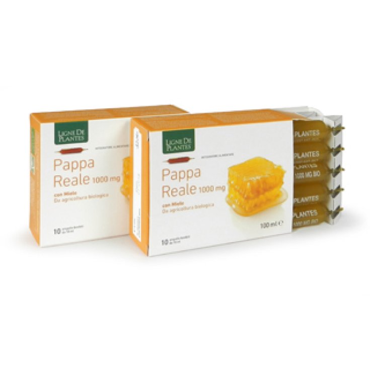 Pappa&nbsp;Reale 1000mg BIO Ligne De Plantes 10 Ampolle