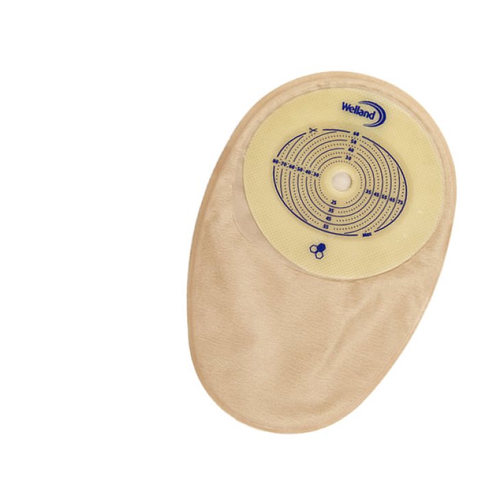AURUM COLO TRASPARENTE RITAGLIABILE 13-60X80 TELEFLEX 30 Pezzi
