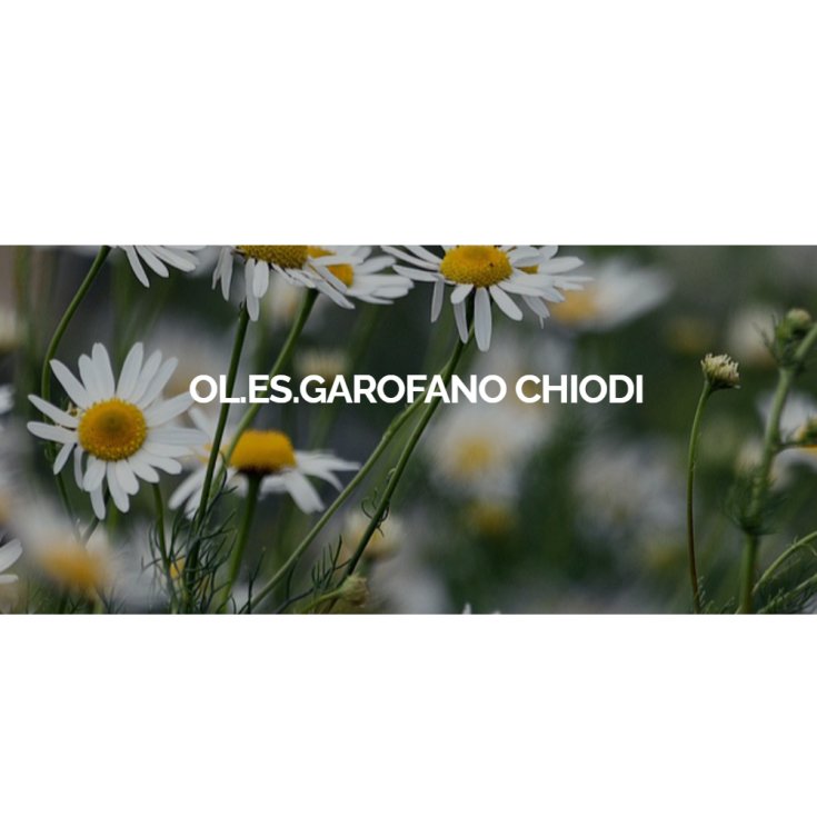Garofano Chiodi OE Esperis 100g