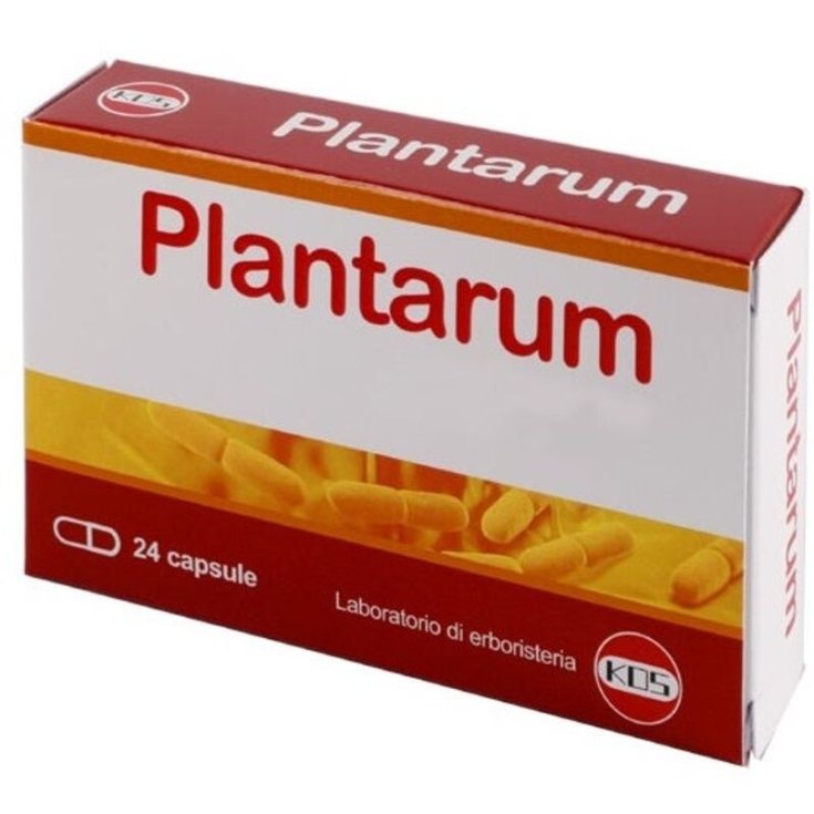PLANTARUM 10MLD KOS&reg; 24 Capsule