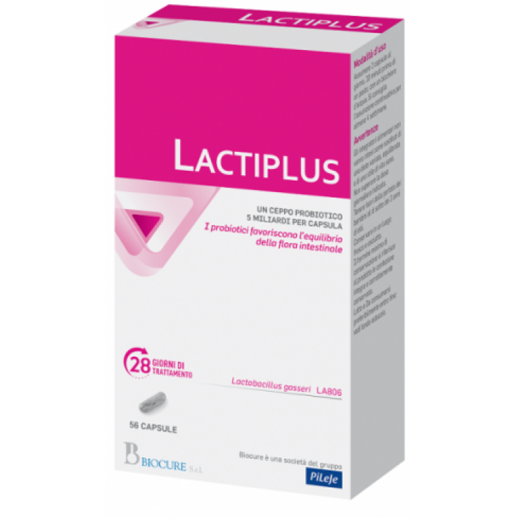 LACTIPLUS BIOCURE 56 Capsule