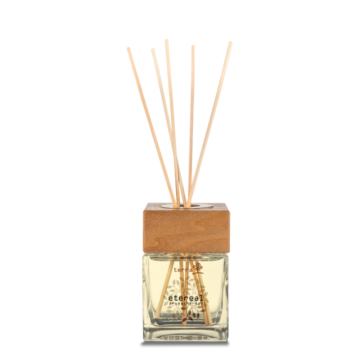 Terra Profumatore per Ambiente con Bastoncini Etereal 200ml