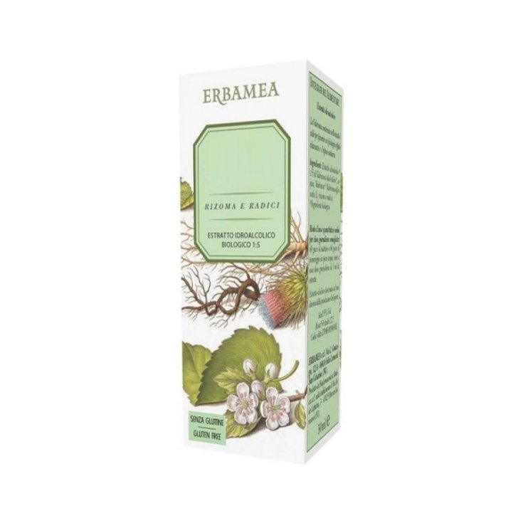 Ginkgo Biloba Estratto Idroalcolico Erbamea 50ml