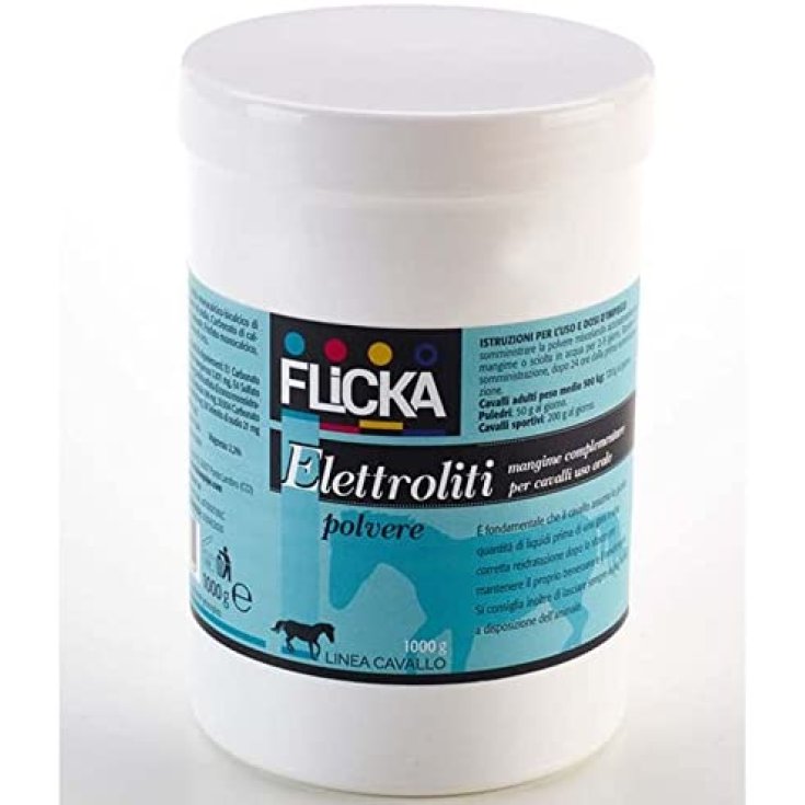 Flicka Elettroliti Bioequipe 1000g