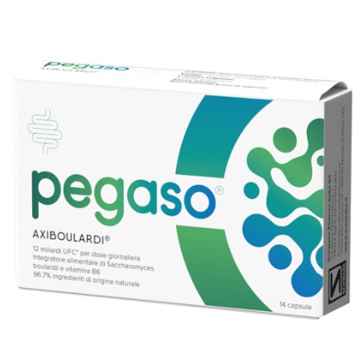 AxiBoulardi Pegaso 14 Capsule
