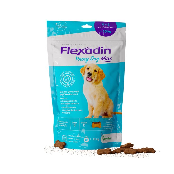 Flexadin Young Maxi - 120 Tavolette