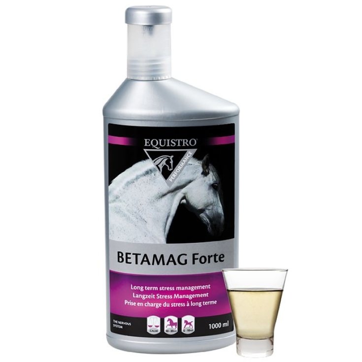 Betamag Forte Equistro 1000ml
