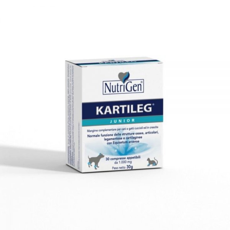 Kartileg Junior - 300X1GR