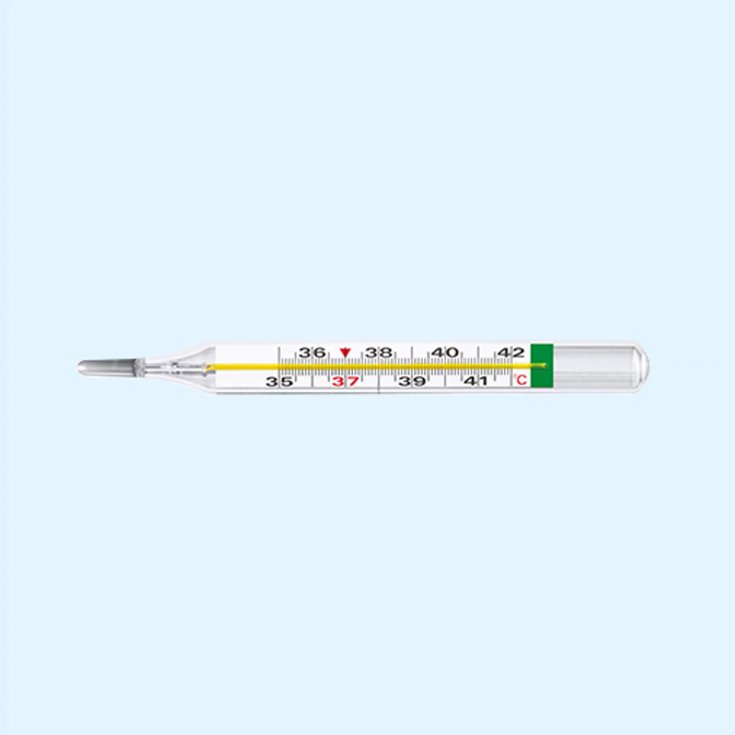 EcoTemp Termometro Clinico Medel 1 Pezzo