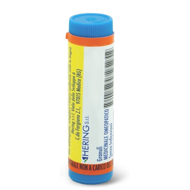 Thuya Occidentalis 200K&nbsp;Hering Granuli 1g