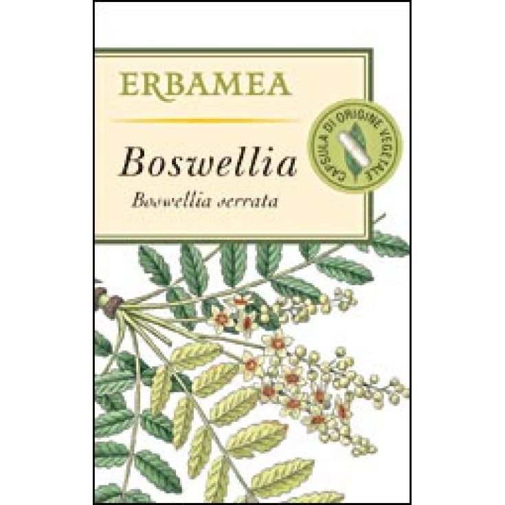 Boswellia Erbamea 50 Opercoli
