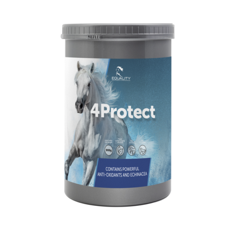 4Protect Equality 900g