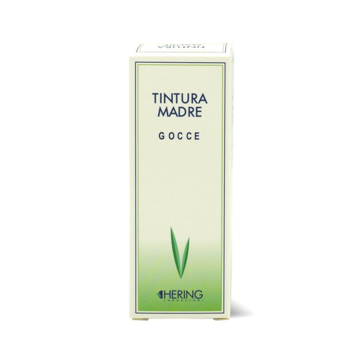 Equisetum Arvense TM Hering 60ml