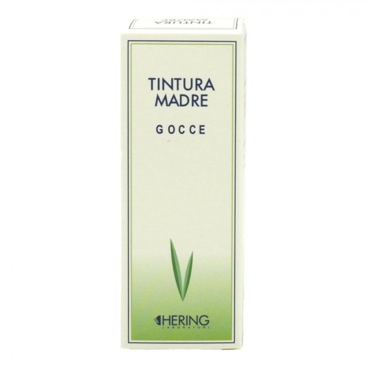 Curcuma TM Hering 60ml