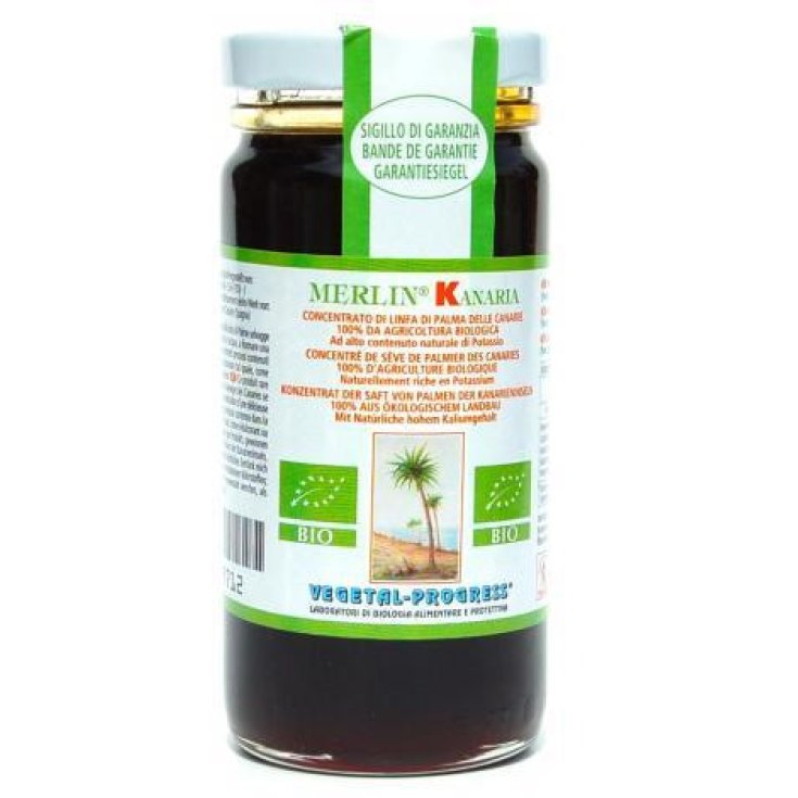 Merlin&reg; Kanaria Linfa Palma Vegetal Progress&reg; 170g