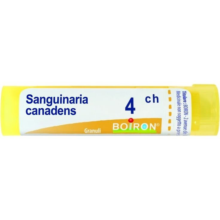 Sanguinaria Canadensis 4CH Boiron Granuli 4g