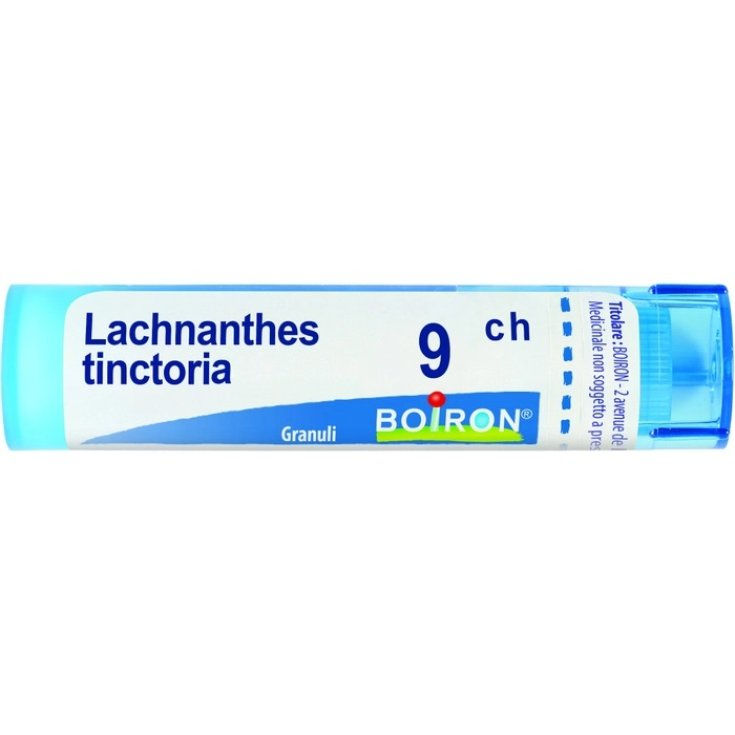 Lachnanthes Tinctoria 9CH Boiron Granuli 4g