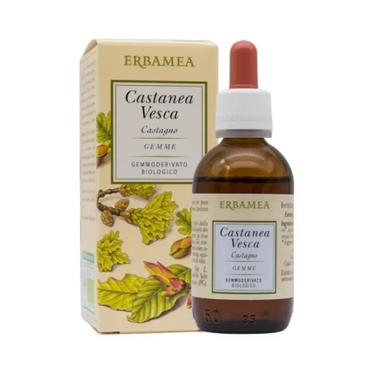 Castanea Vesca Gemmoderivato Bio Erbamea 50ml