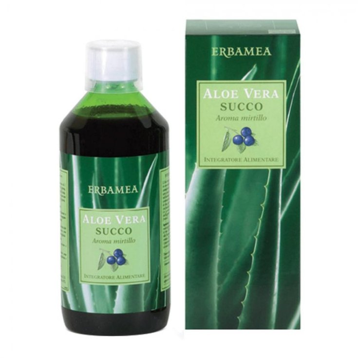 Aloe Vera Succo con Mirtillo Erbamea 500ml