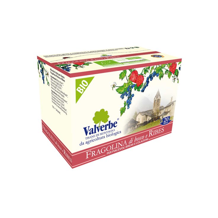 Fragolina Di Bosco E Ribes Valverbe 20 Filtri