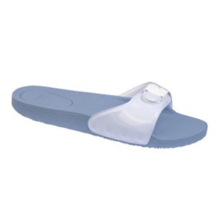 Pop - Donna Pervinca 39 Dr.Scholl