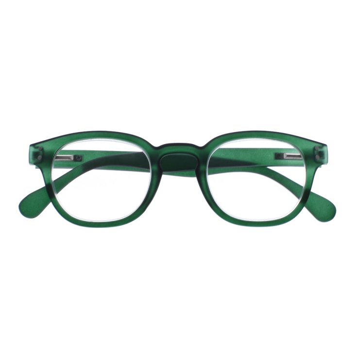 Occhiali da Lettura Everest Verde&nbsp;1,0&nbsp;Sanico