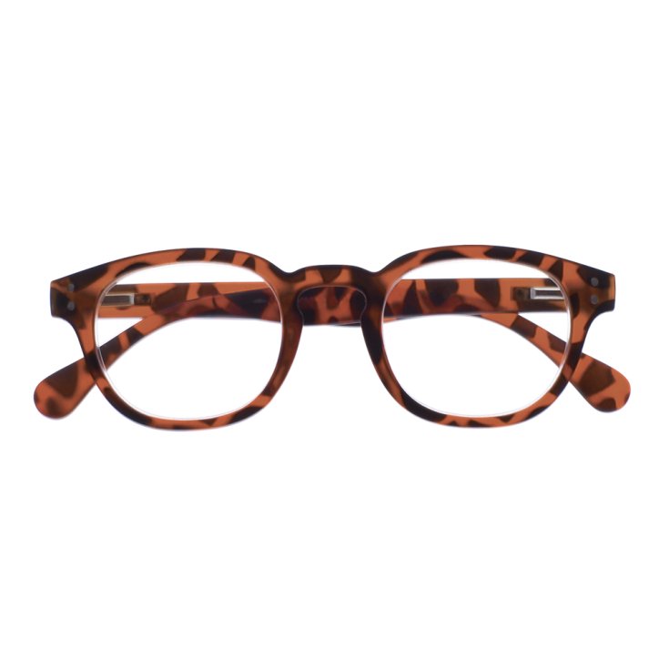 Occhiali da Lettura Everest Turtle&nbsp;1,5&nbsp;Sanico