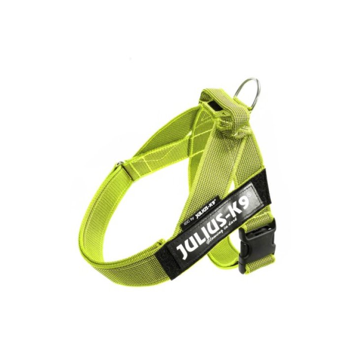 Pettorina IDC Color & Gray Belt Harnes Giallo Tg.M&nbsp;Julius-K9