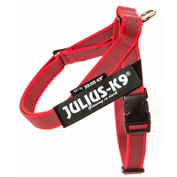 Pettorina IDC Color & Gray Belt Harnes Rosso&nbsp;Tg.S&nbsp;Julius-K9
