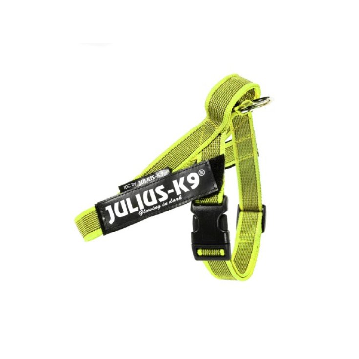 Pettorina IDC Color & Gray Belt Harnes Giallo Tg.S&nbsp;Julius-K9