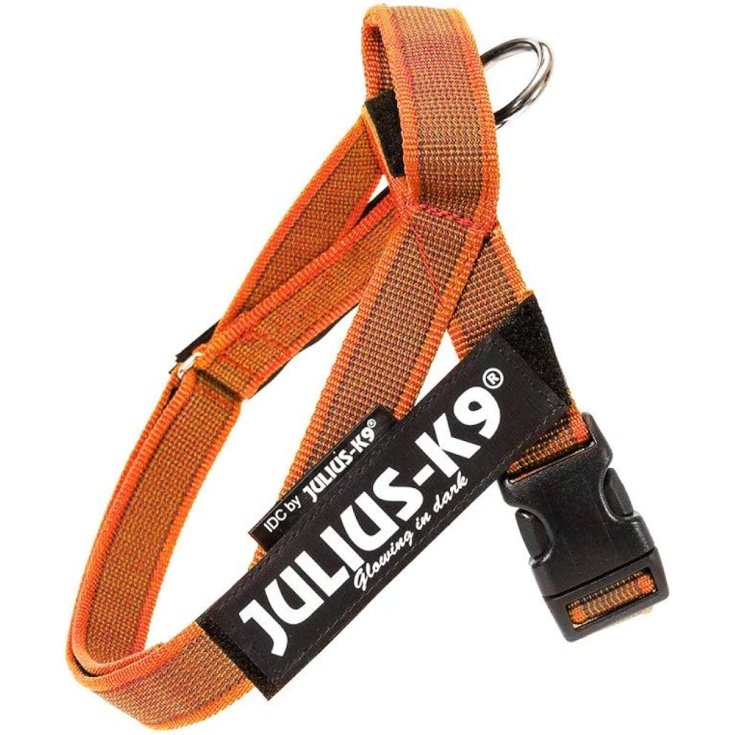 Pettorina IDC Color & Gray Belt Harnes Arancione Tg.XS&nbsp;Julius-K9