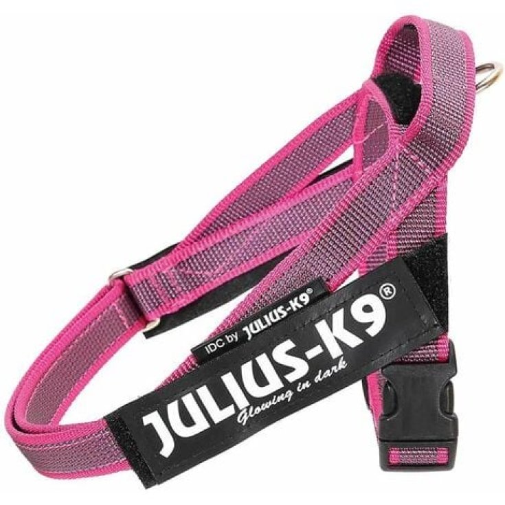Pettorina IDC Color & Gray Belt Harnes Rosa&nbsp;Tg.2XS&nbsp;Julius-K9