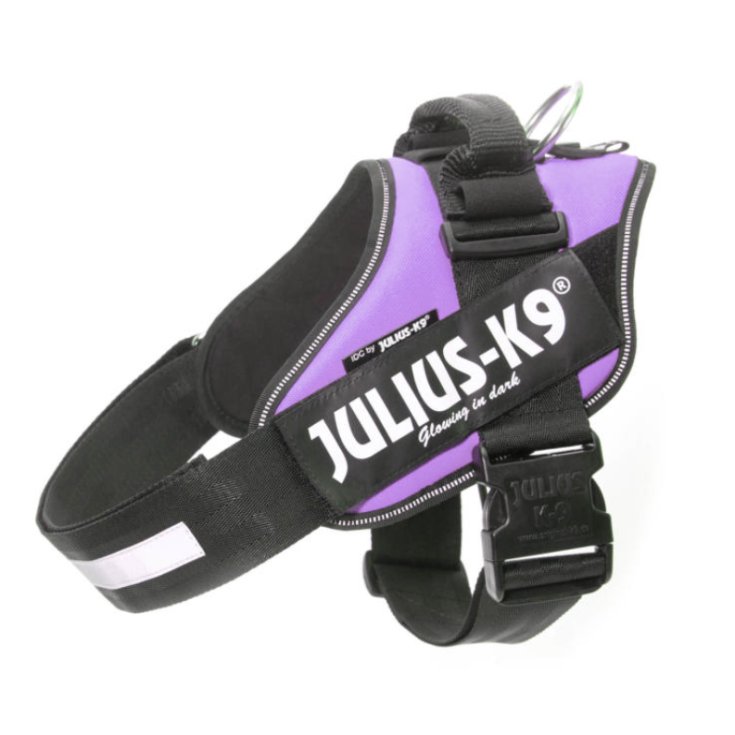 Pettorina Porpora Tg.2&nbsp;IDC Power Harness Julius-K9
