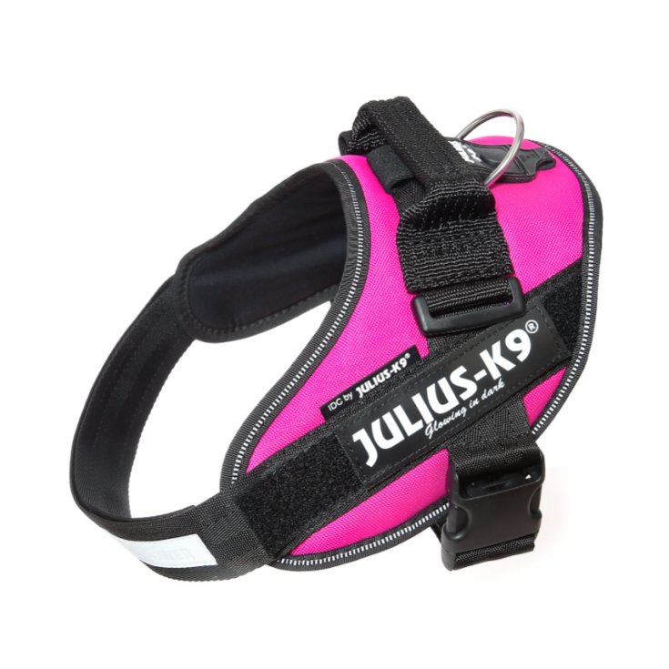 Pettorina Dark Pink Tg.2 IDC Power Harness Julius-K9