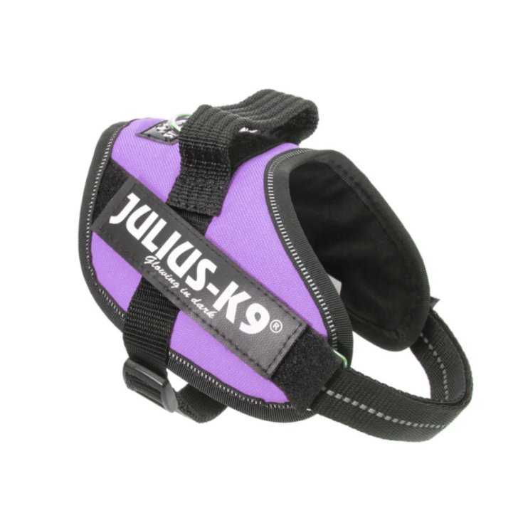 Pettorina Porpora Tg.Mini&nbsp;IDC Power Harness Julius-K9