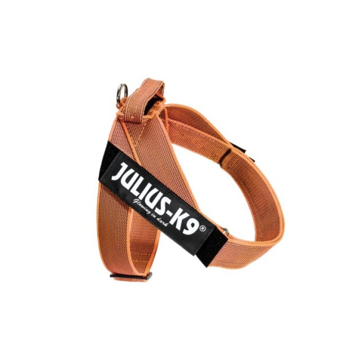 Pettorina IDC Color & Gray Belt Harnes Arancione Tg.L Julius-K9
