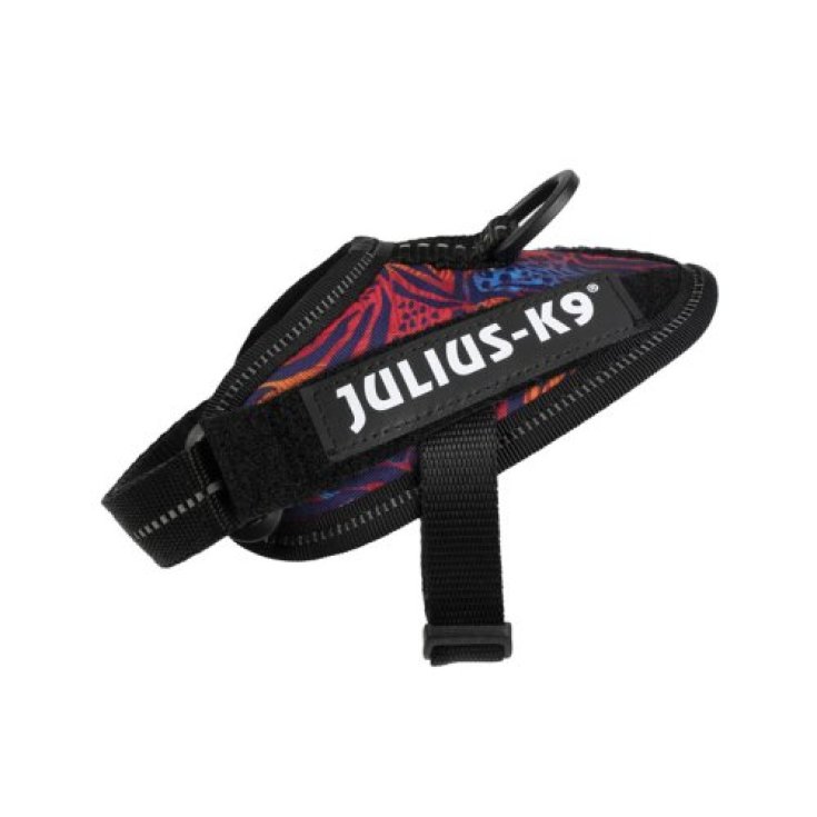 Pettorina Wild Tg.Baby 1 IDC Power Harness Julius-K9